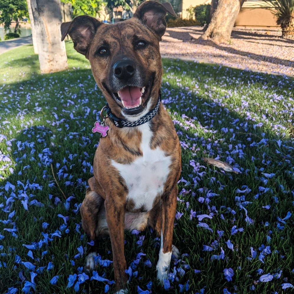 Meet your Posher, Luther